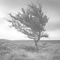 Photo for notice of William John Gwynfor POWELL