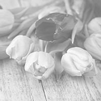 Photo for notice of Evan David Thomas