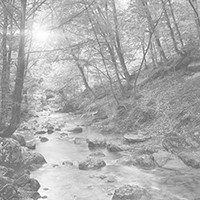 Photo for notice of Thomas Idris Llewelyn DAVIES