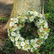 Candle whitewreath